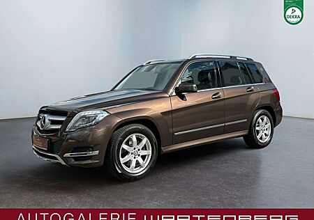 Mercedes-Benz GLK 250 4Matic/MODELLPFLEGE/CAM/PANO/STHZ/XENON/