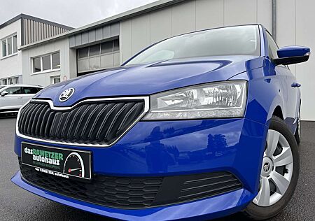 Skoda Fabia 1.0 Active Cool Plus 87€ m. 20% Anzahlung DAB PD