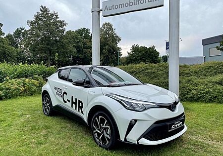 Toyota C-HR 2,0l Team Deutschland