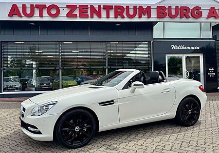 Mercedes-Benz SLK 200 Roadster BlueEffi Aut.Navi Leder BiXenon