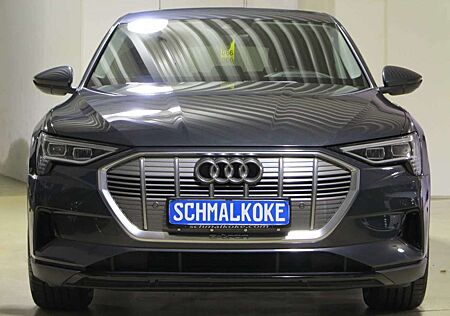 Audi e-tron 50 quattro Navi DAB Standklima LM20