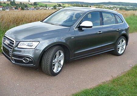 Audi SQ5 gebraucht kaufen Audi SQ5 3.0 TDI quattro tiptronic/Pano/AHK/Navi/20"/TOP!