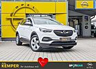 Opel Grandland X Grandland 1.2 Turbo Edition *PDC*SHZ*Tempomat*