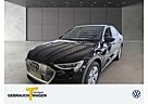 Audi e-tron 50 Q VIRTUAL+ NAVI AHK LM19