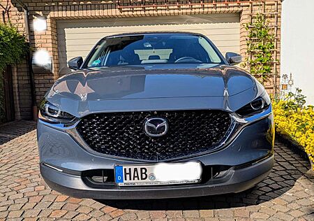 Mazda CX-30 gebraucht kaufen Mazda CX-30 SKYACTIV-D 1.8 Aut. SELECTION