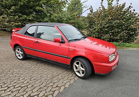 VW Golf Cabriolet Volkswagen Golf Cabrio 1.8