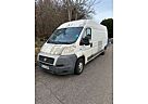 Fiat Ducato 120 (Rs: 4035 mm H:2,5m) L4