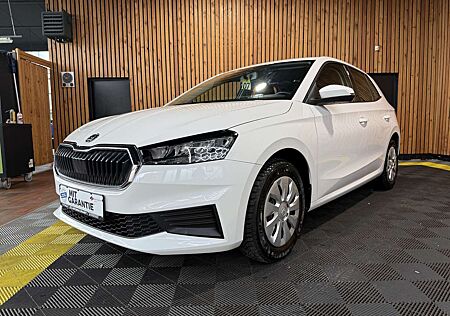 Skoda Fabia 1,0 MPI Ambition *LED*Tempo*PDC*App*Sitzhz