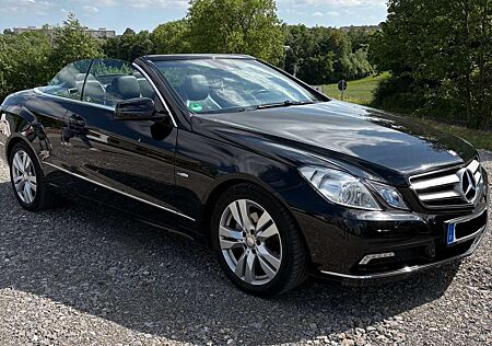 Mercedes-Benz E 250 Cabrio BlueEFFICIENCY ILS Bi-Xenon, Leder