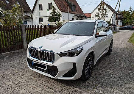 BMW iX1 xDrive30 M Sportpaket, Alarmanlage, HeadUp!!