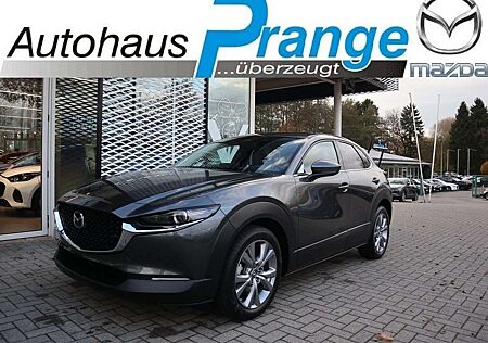Mazda CX-30 M-Hybrid X-186 AT Exclusive-Line *Sofort*Aktion* N