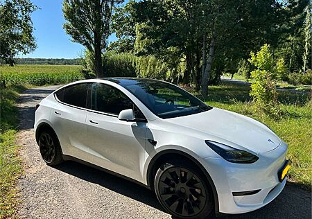 Tesla Model Y RWD