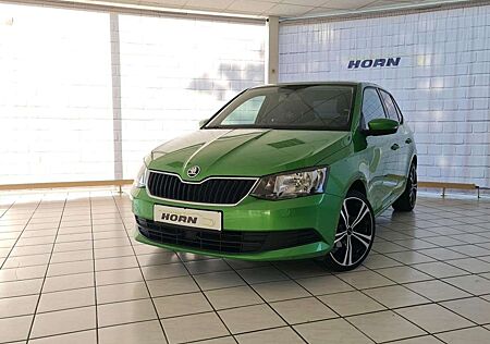 Skoda Fabia Ambition, unfallfrei,PDC,Scheckheftgepflegt,1.Hand