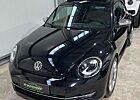 VW Beetle Volkswagen Fender Edition, Xenon, LED, Panorama