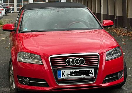 Audi A3 gebraucht kaufen Audi A3 Cabriolet 2.0 TDI DPF S tronicAmbition