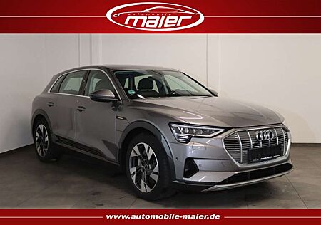 Audi e-tron 55 quattro advanced-NAV-MATRIX-PANO-AHK-