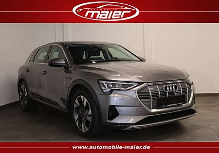 Audi e-tron 55 quattro advanced-NAV-MATRIX-PANO-AHK-