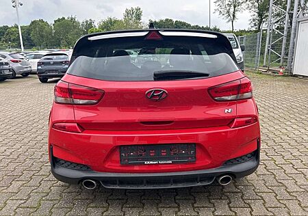 Hyundai i30 2.0 T-GDI N Performance Panorama-Dach