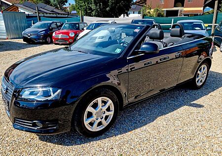 Audi A3 Cabriolet Leder Xenon Scheckheft