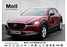 Mazda CX-30 Homura 2WD 2.0 SKYACTIV-G M Hybrid 150 EU6d HUD Na