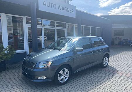 Skoda Fabia Ambition DSG *EPH SH TEL KLIMA TEM LICHTAS