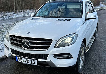 Mercedes-Benz ML 350 CDI Blue Tec,Standheizung,Panorama,Scheckh.