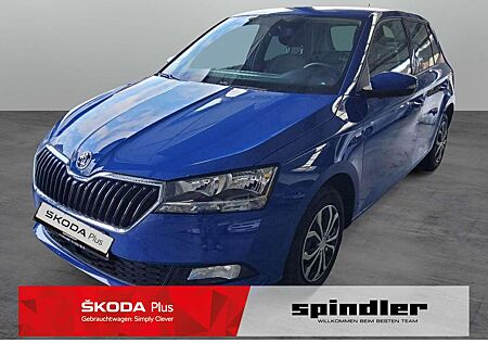 Skoda Fabia Drive 125 years 1.0 TSI / SmartLink, SHZ
