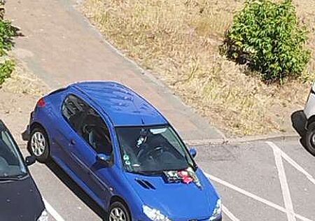 Peugeot 206 60 Pop Art