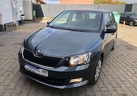 Skoda Fabia Combi Ambition*SCHECKHEFT*1 HAND*TEMPOMAT