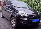 Fiat Panda 1.2 More