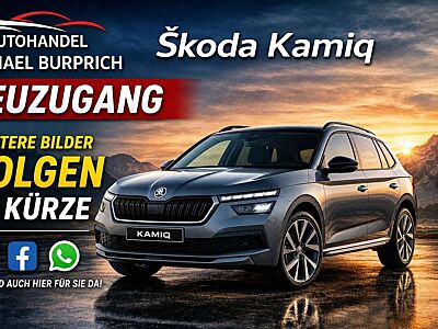 Skoda Kamiq 1.5 TSI Selection*ACC*RFK*LED*AHK*CARPALY