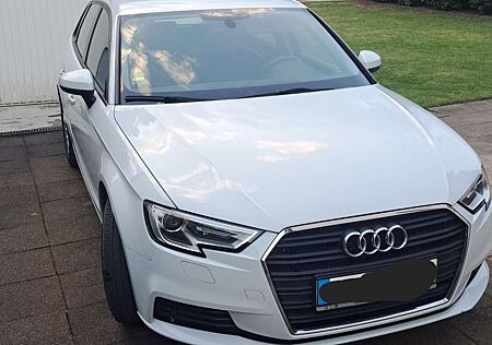 Audi A3 basis