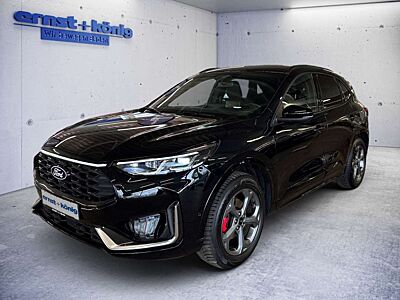 Ford Kuga 2.5 Duratec FHEV 4x4 ST-LINE X