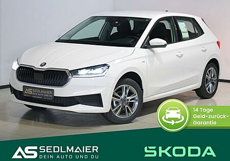 Skoda Fabia 1.0 MPI Tour Kamera|SHZ|APPs|DAB|LED|Temp
