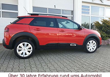 Citroën C4 Cactus Citroen Shine Pure Tech 110