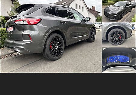 Ford Kuga Autom 4WD AHK 2,1 to ST-Line Black-X 20Zoll+++