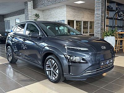 Hyundai KONA Edition 30+ R.Cam Navi Krell SHZ LED DAB