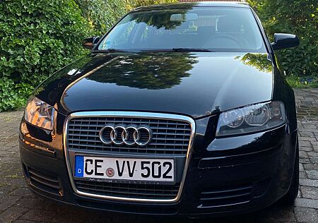 Audi A3 Sportback (8PA) 1.9 TDI