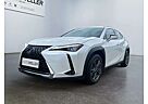 Lexus UX 250h Luxury Line *HUD*Navi*CarPlay*SmartKey*