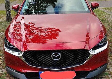 Mazda CX-30 e-SKYACTIV-G 2.0 M HYBRID 150 SELECTION