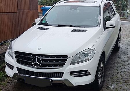 Mercedes-Benz ML 250 BlueTEC 4MATIC 7G-TRONIC