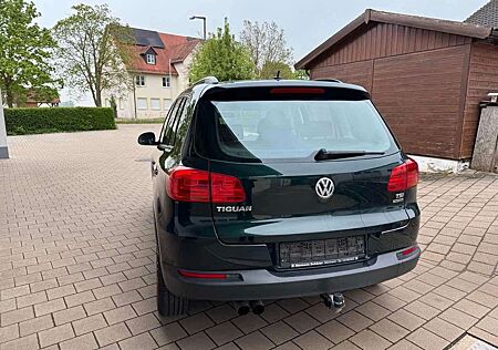 VW Tiguan Volkswagen Track & Field 4x4 Sitzheizung AHK