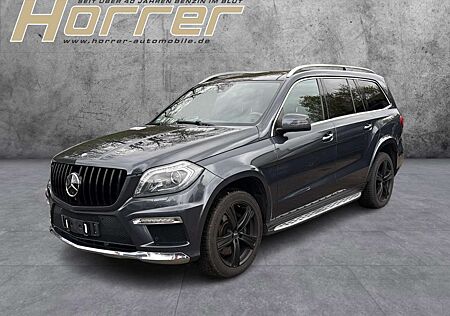 Mercedes-Benz G 400 G 500 BlueEfficiency 4Matic AHK Pano