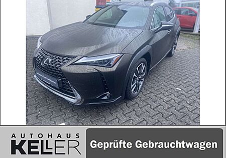 Lexus UX 250h Style Edition SONDERFOLIERUNG-CARPLAY