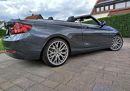 BMW 228i 228 Luxury Line*NAVI*LEDER*19ZOLL*unfallfrei