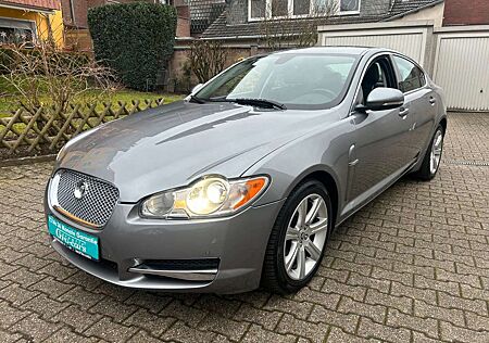 Jaguar XF 3.0 V6 Diesel Edition, LEDER XENON, Scheckhef