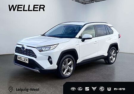 Toyota RAV 4 2.5 Hybrid Team D 4x2 *Technik Paket*CAM*