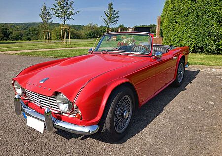 Triumph TR4