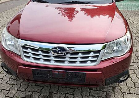 Subaru Forester Comfort