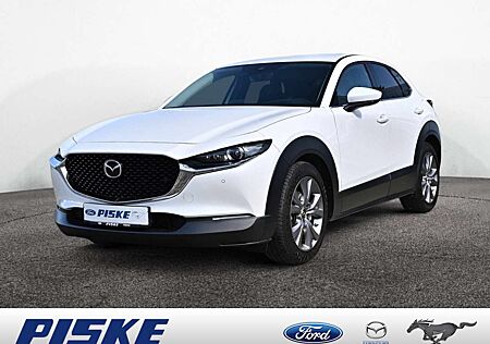 Mazda CX-30 Selection HUD KAMERA PDC SHZ NAVI ACC
